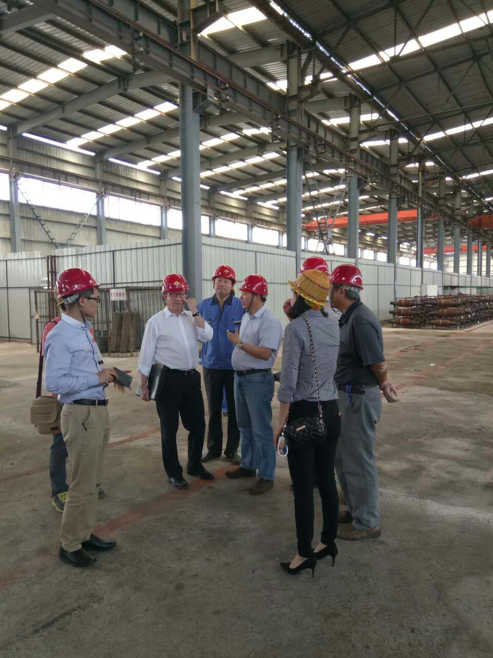 Galvanized Steel Coil Roll