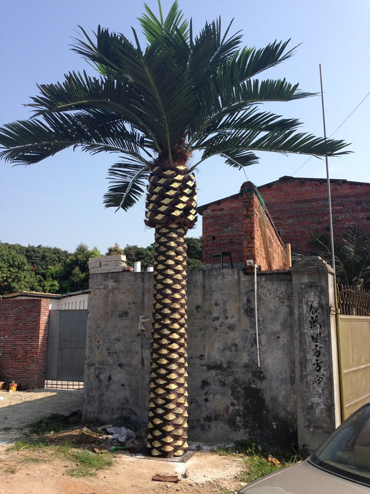 UV Protected Seaweed Trees Artificial Palm Trees Large Outdoor Artificial Coconut Plants