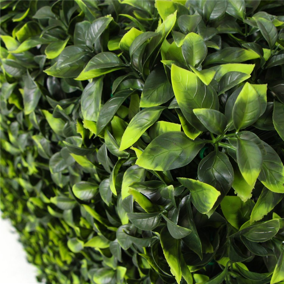 UV Proof Fresh New PE Material Customized Size Hedge Mat for Balcony Privacy Screens