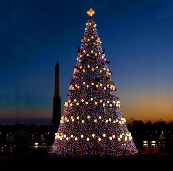 Customized Commercial Large Outdoor Giant Christmas Tree Lighting Color-Changing Commercial Decorating