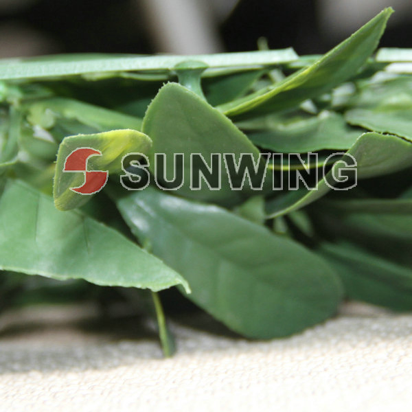Sunwing High Quality Artificial Hedge Plastic Grass Artificial Hedge Mat