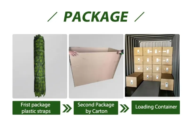 Packing and Shipping Details