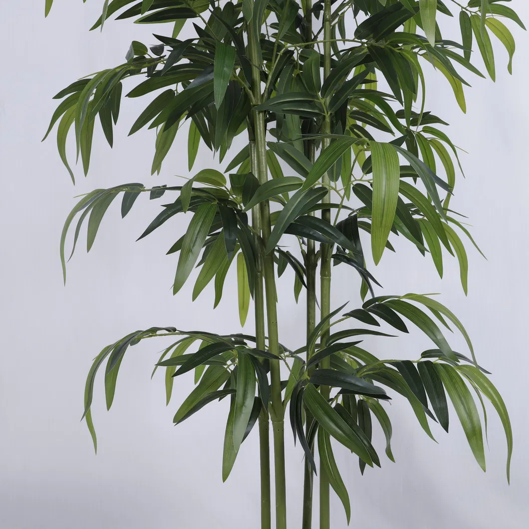 Bamboo Product View 5