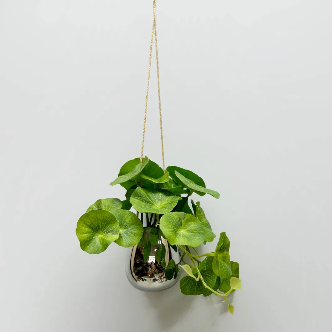 Artificial Evergreen Plant