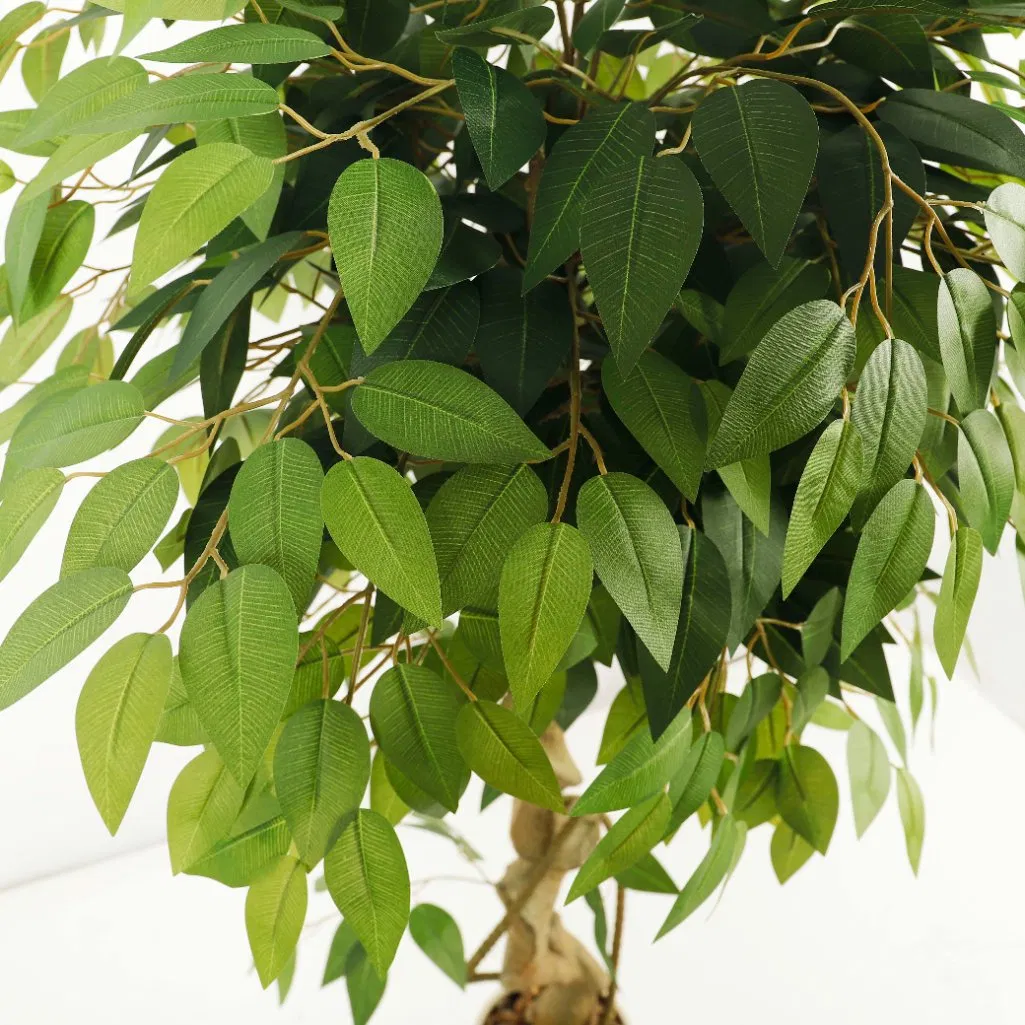 Exquisite Artificial Evergreen Tree Foliage with Twisted Trunk Faux Ficus Plant