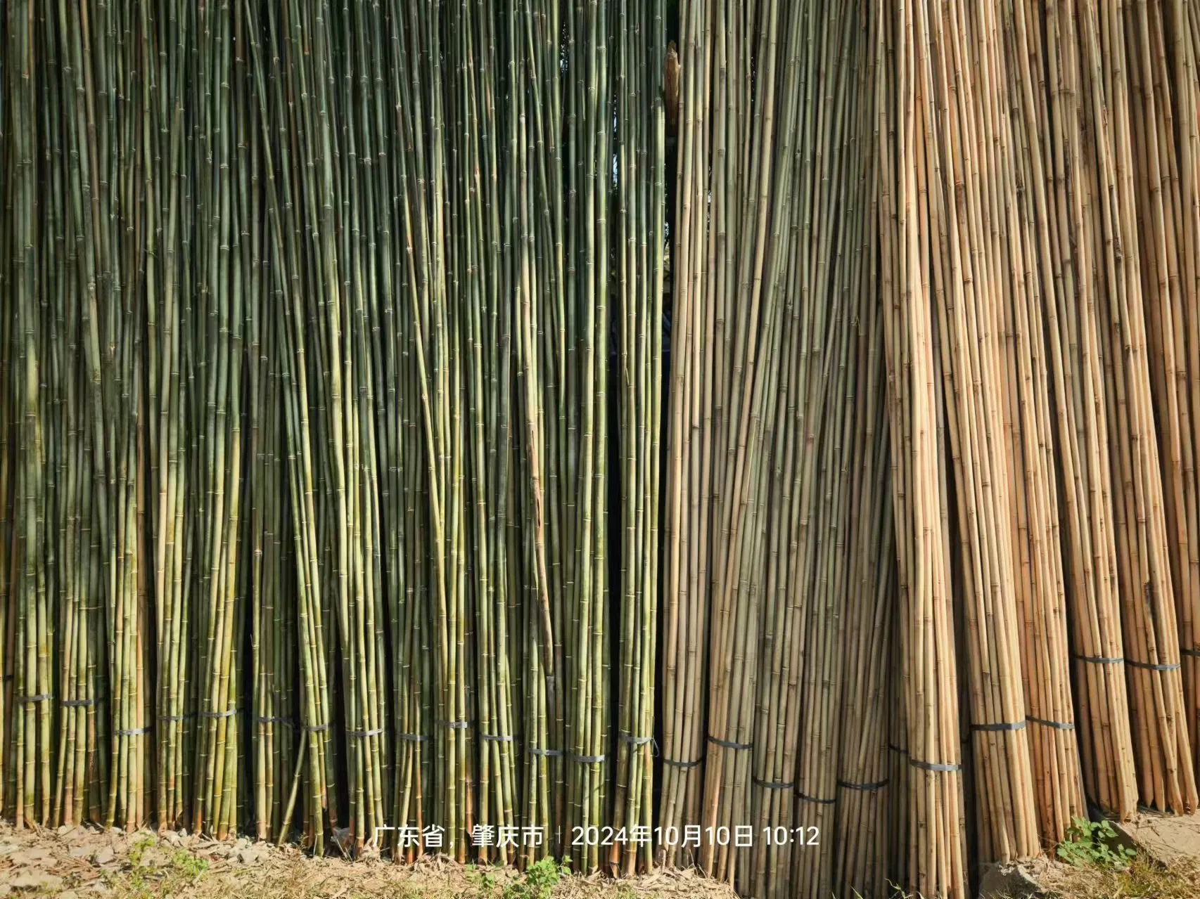 High Quality Outdoor Custom Size Natural Straight Bamboo Pole Artificial Bamboo Poles