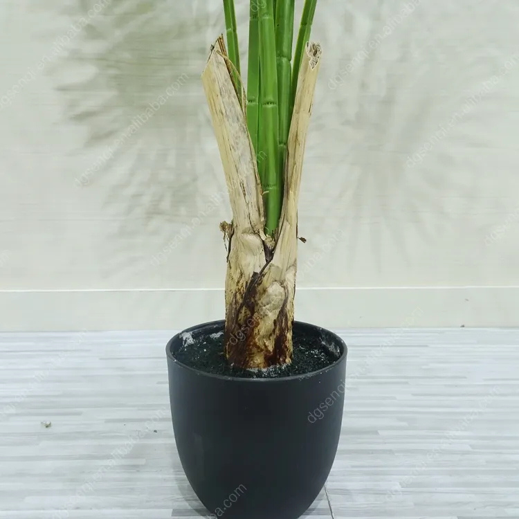 Simulation Fan Palm Trees Detail 3