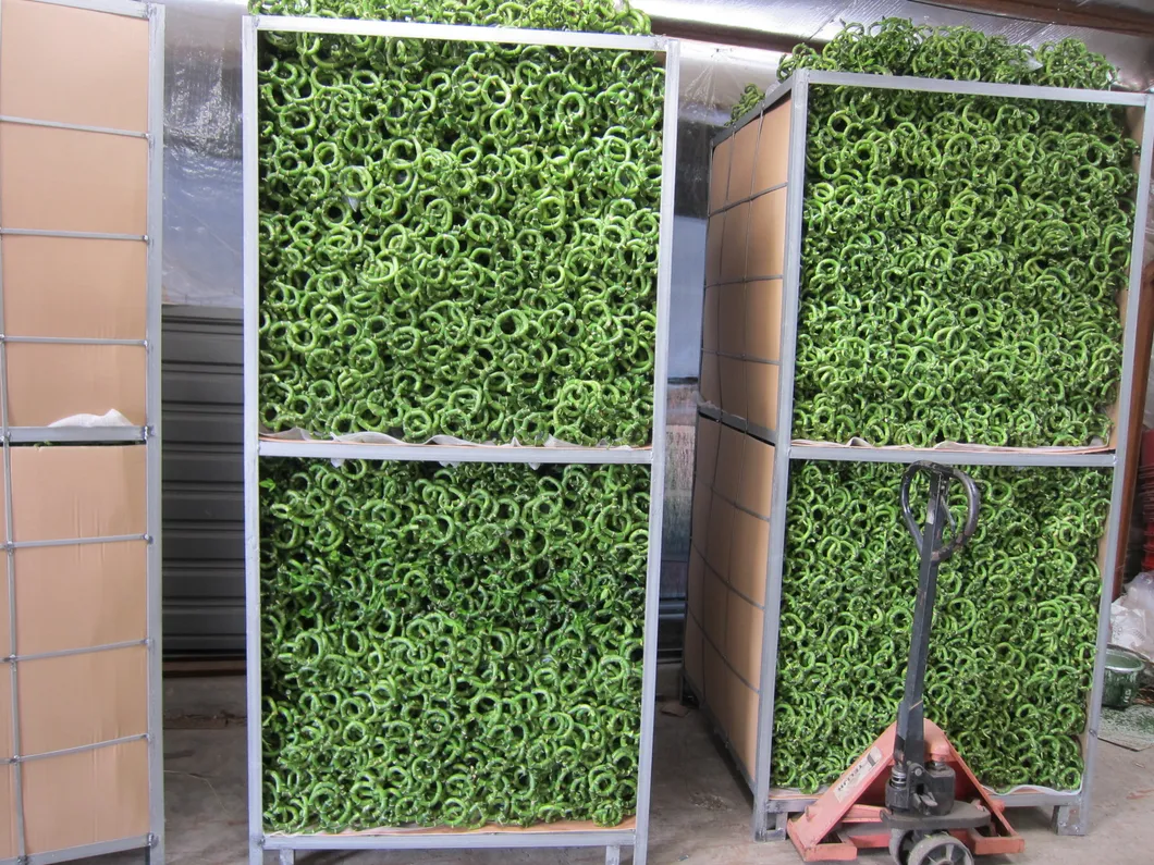 Spiral Bamboo Display