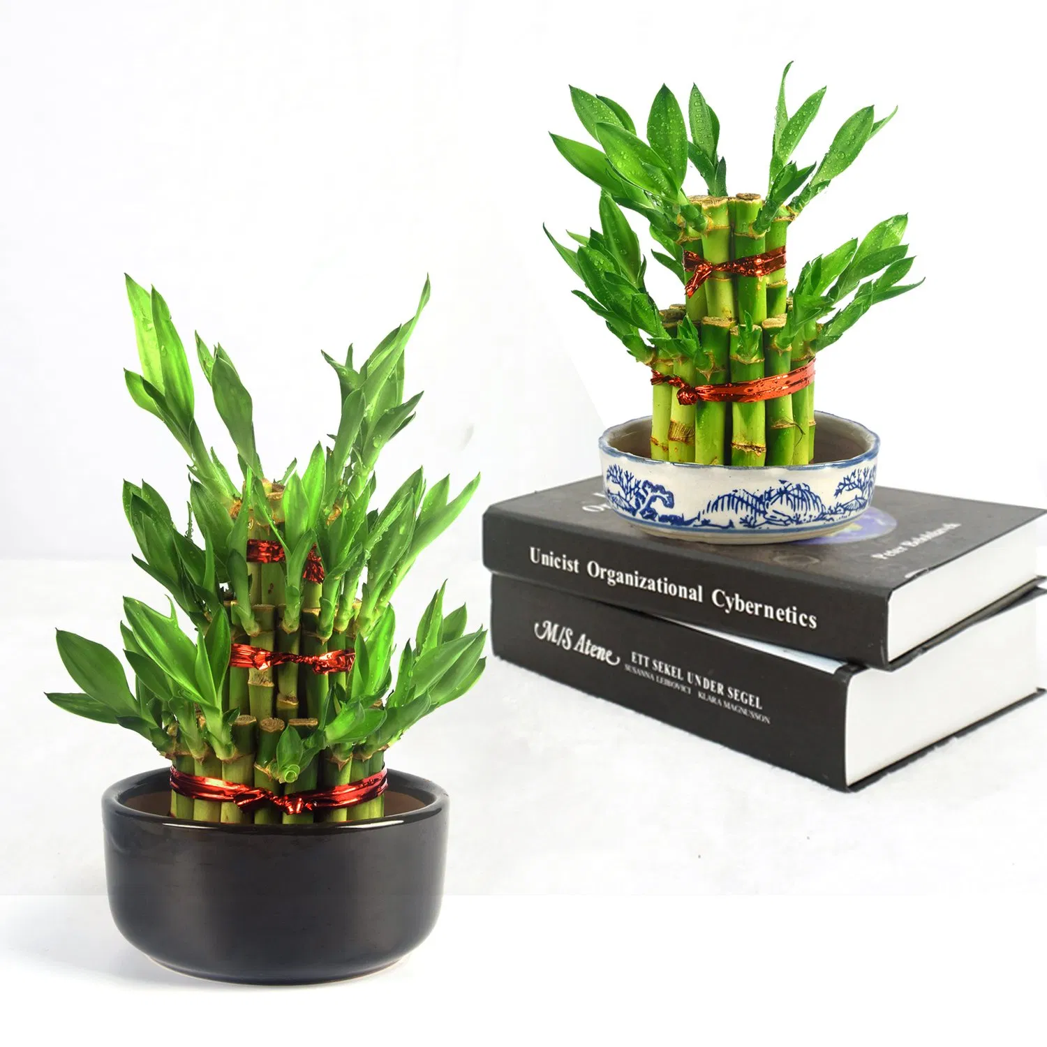 Small 4 Tower Lucky Bamboo Wholesale High Quality Artificial Lucky Bamboo