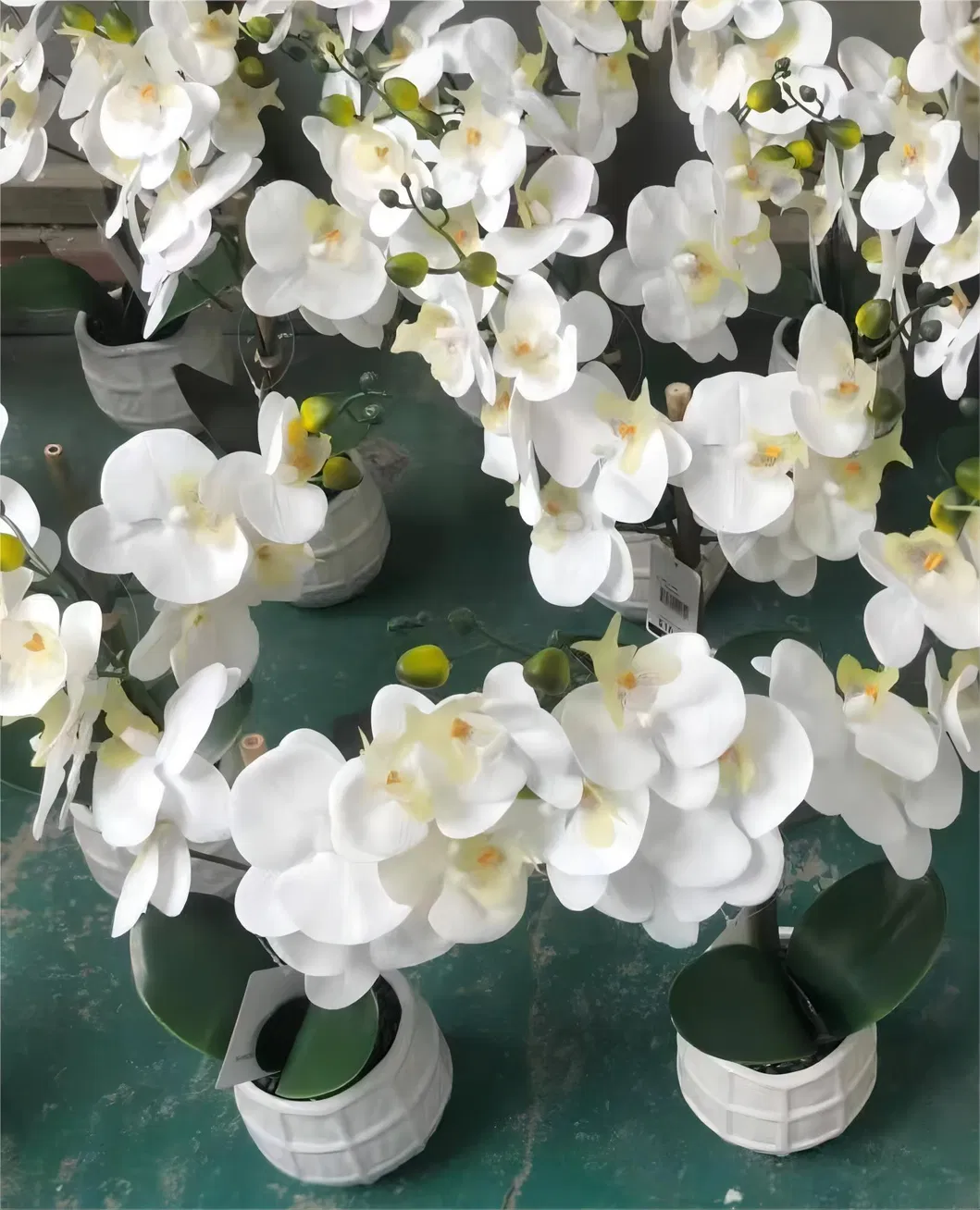 Artificial Orchid Arrangement