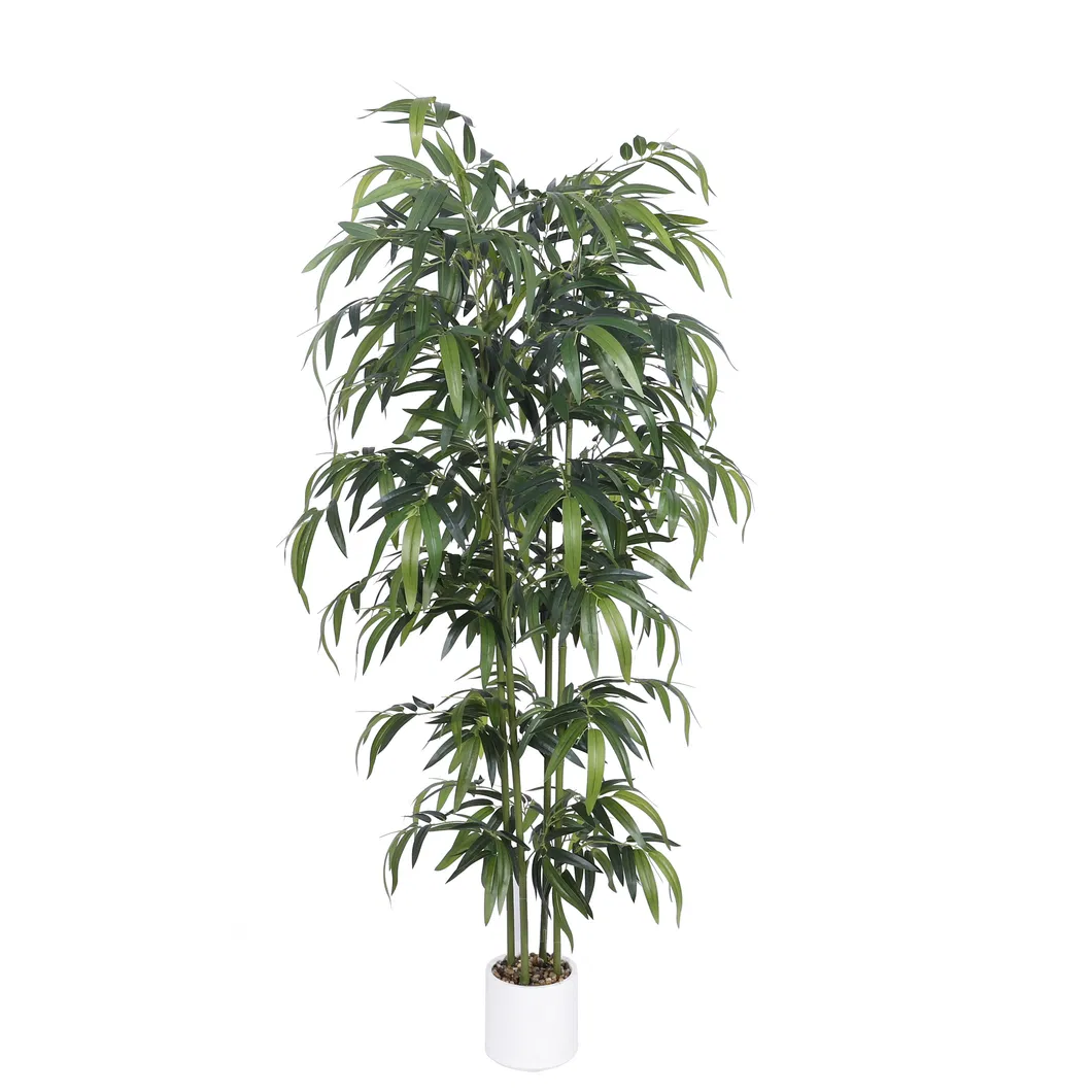 Bamboo Product View 1