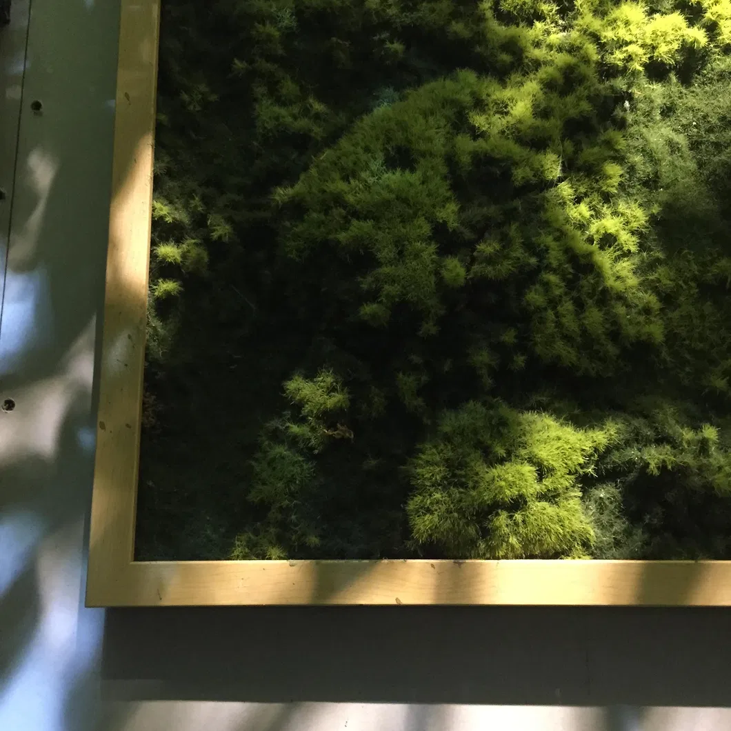 Vertical Grass Wall Detail