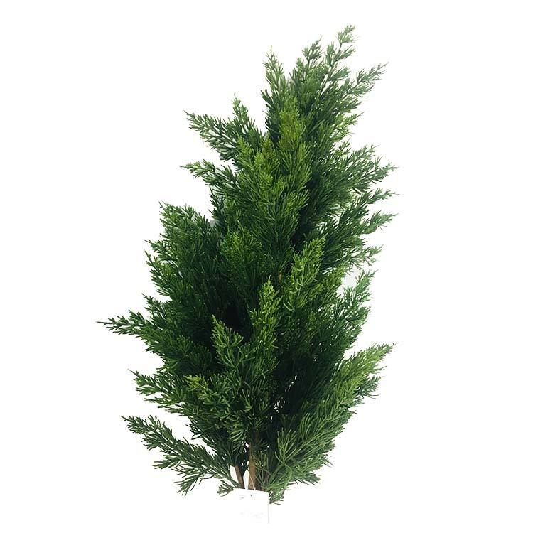 Factory Customization Artificial Cypress Bonsai Tree for Elegant Home Decor