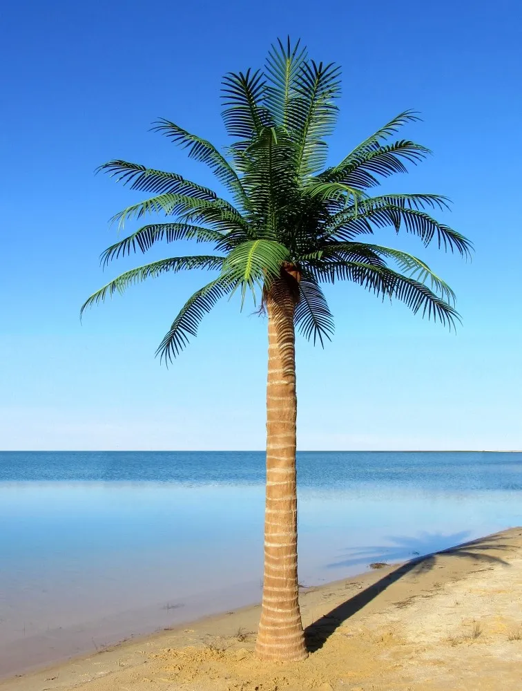 Artificial Coconut Palm Tree