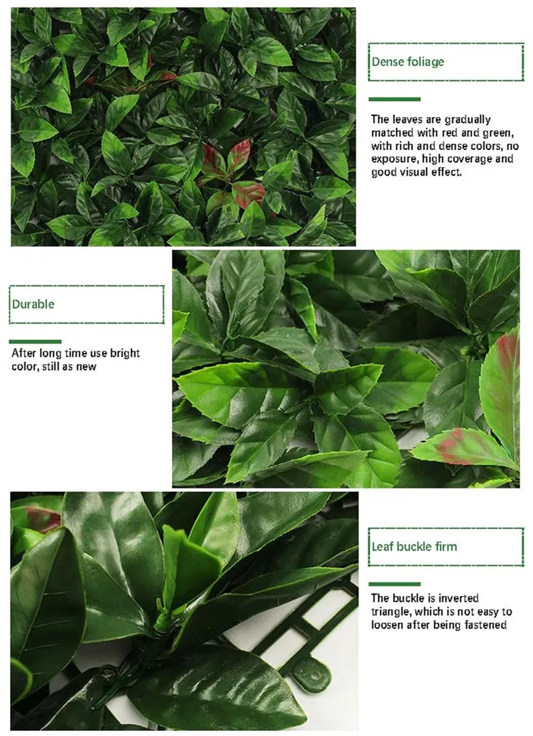 Green Wall Vertical Garden 2