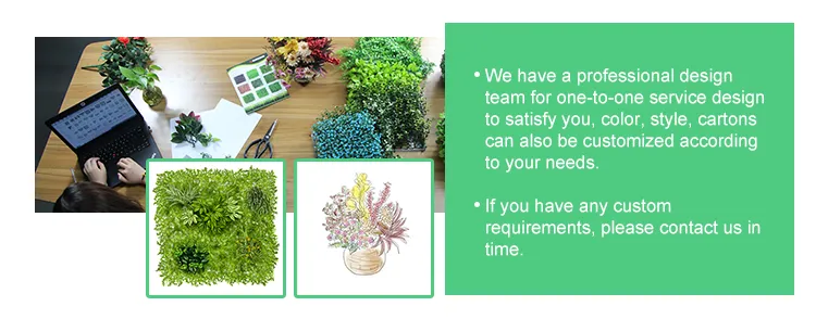 Our Professional Service