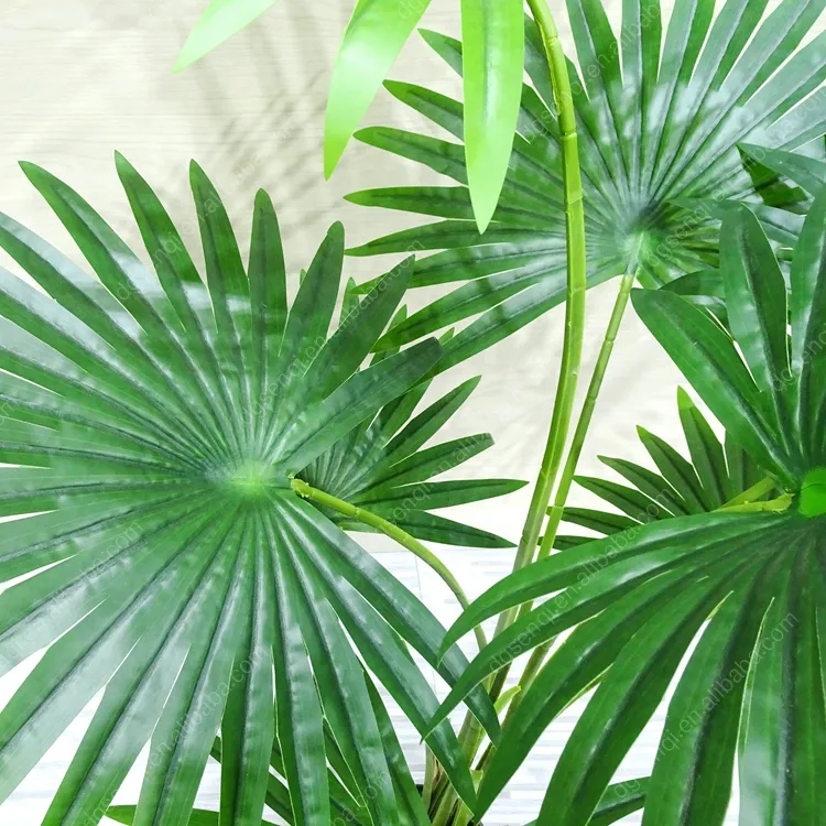 Simulation Fan Palm Trees Detail 2