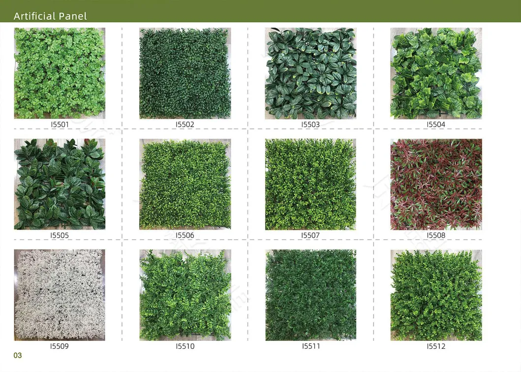 Detailed Grass Photo 1