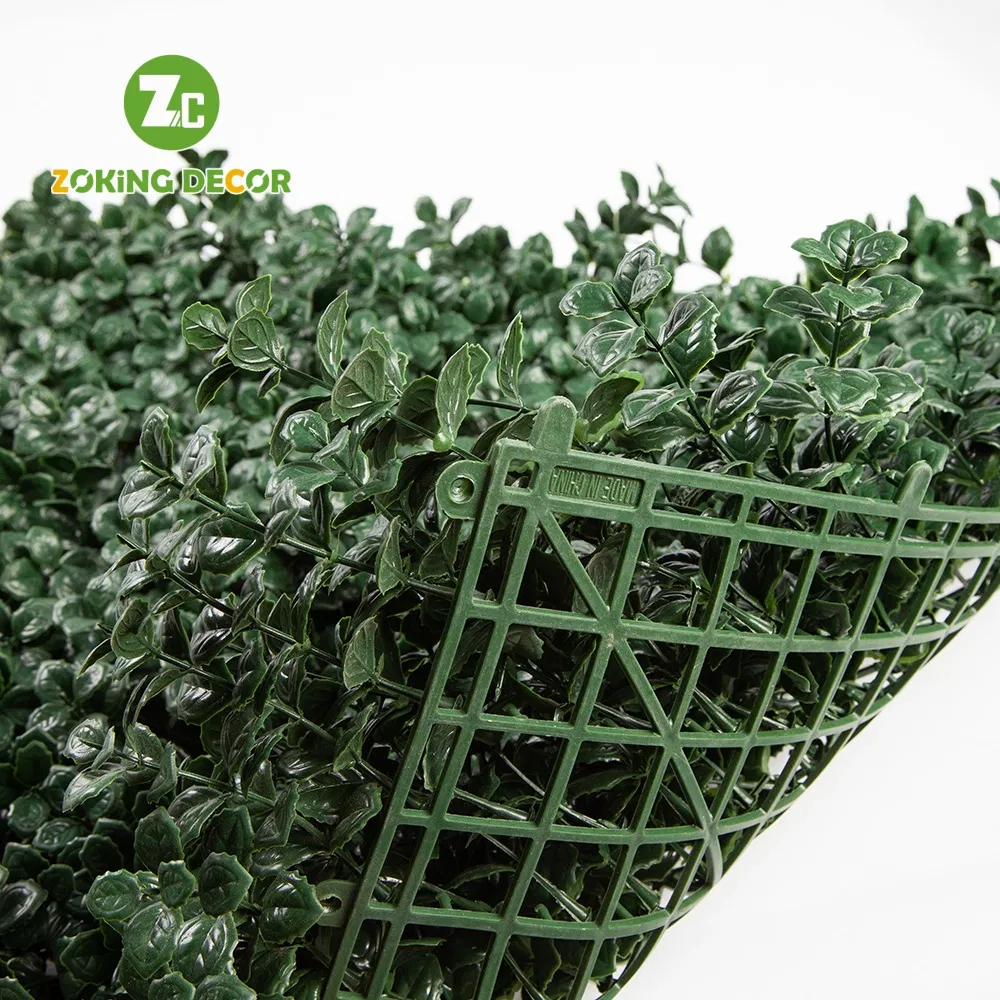 Zc Artificial Plastic Creeper Boxwood Hedge Moss Grass Indoor Plant Vertical Panels Leaves Green Wall System for Decoration