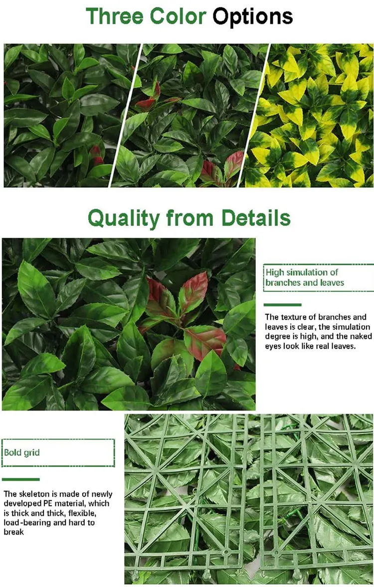 Green Wall Vertical Garden 1