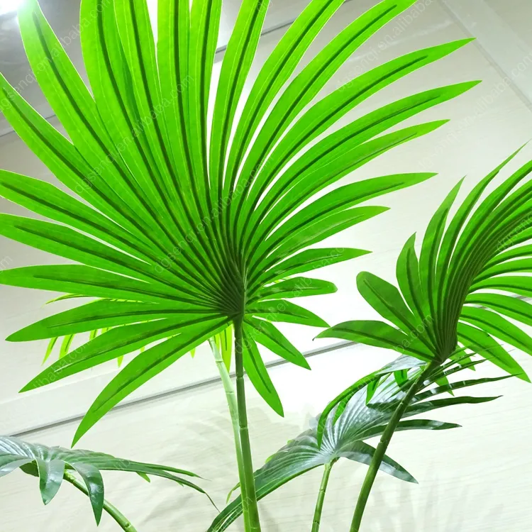 Simulation Fan Palm Trees Detail 1