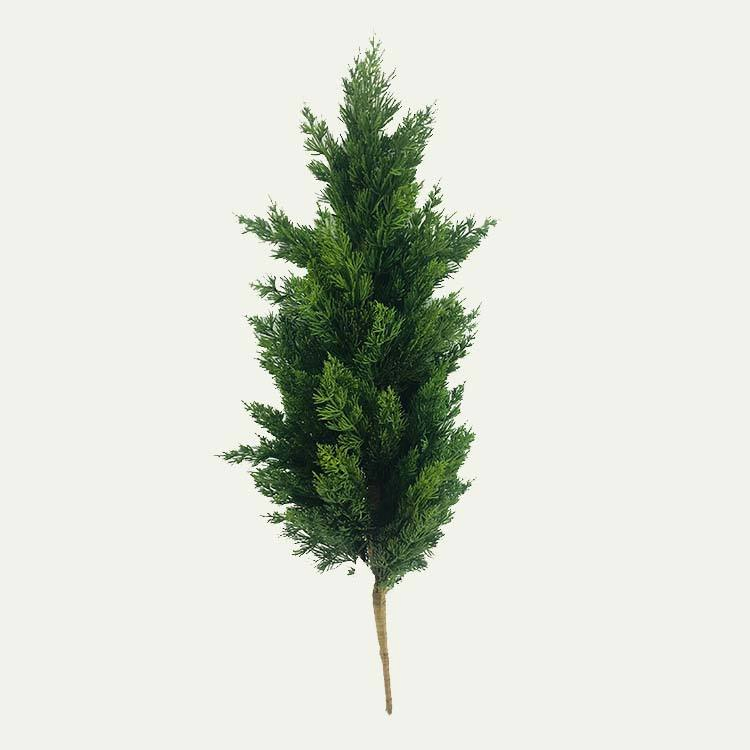 Factory Customization Artificial Cypress Bonsai Tree for Elegant Home Decor