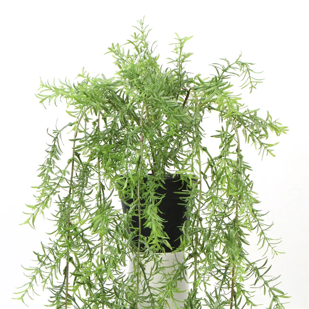 New Products Customized Creative Artificial Potted Plants Hanging for House