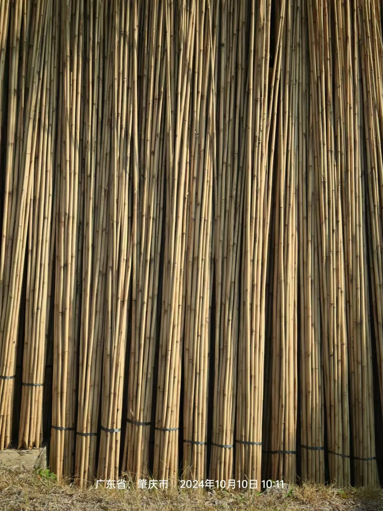 High Quality Outdoor Custom Size Natural Straight Bamboo Pole Artificial Bamboo Poles