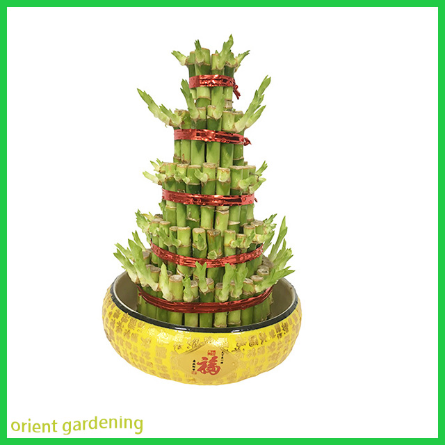 Small 4 Tower Lucky Bamboo Wholesale High Quality Artificial Lucky Bamboo