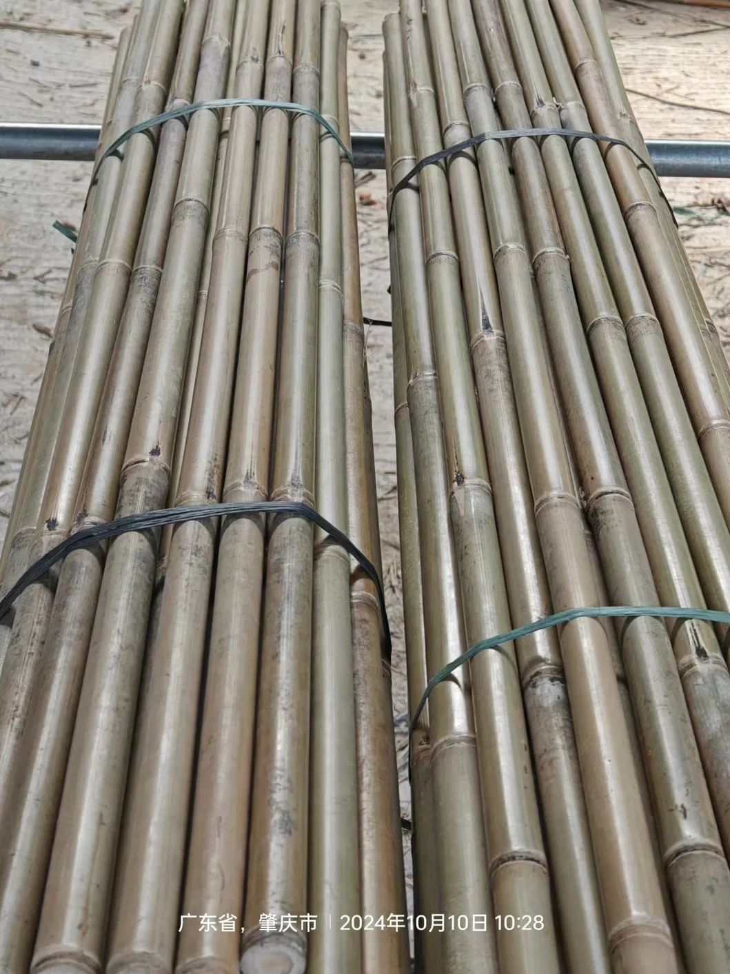 Bamboo Detailed Photos 2