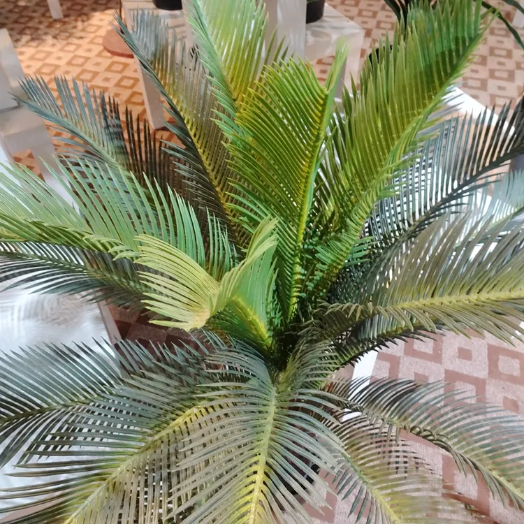 Artificial Bonsai Tree View