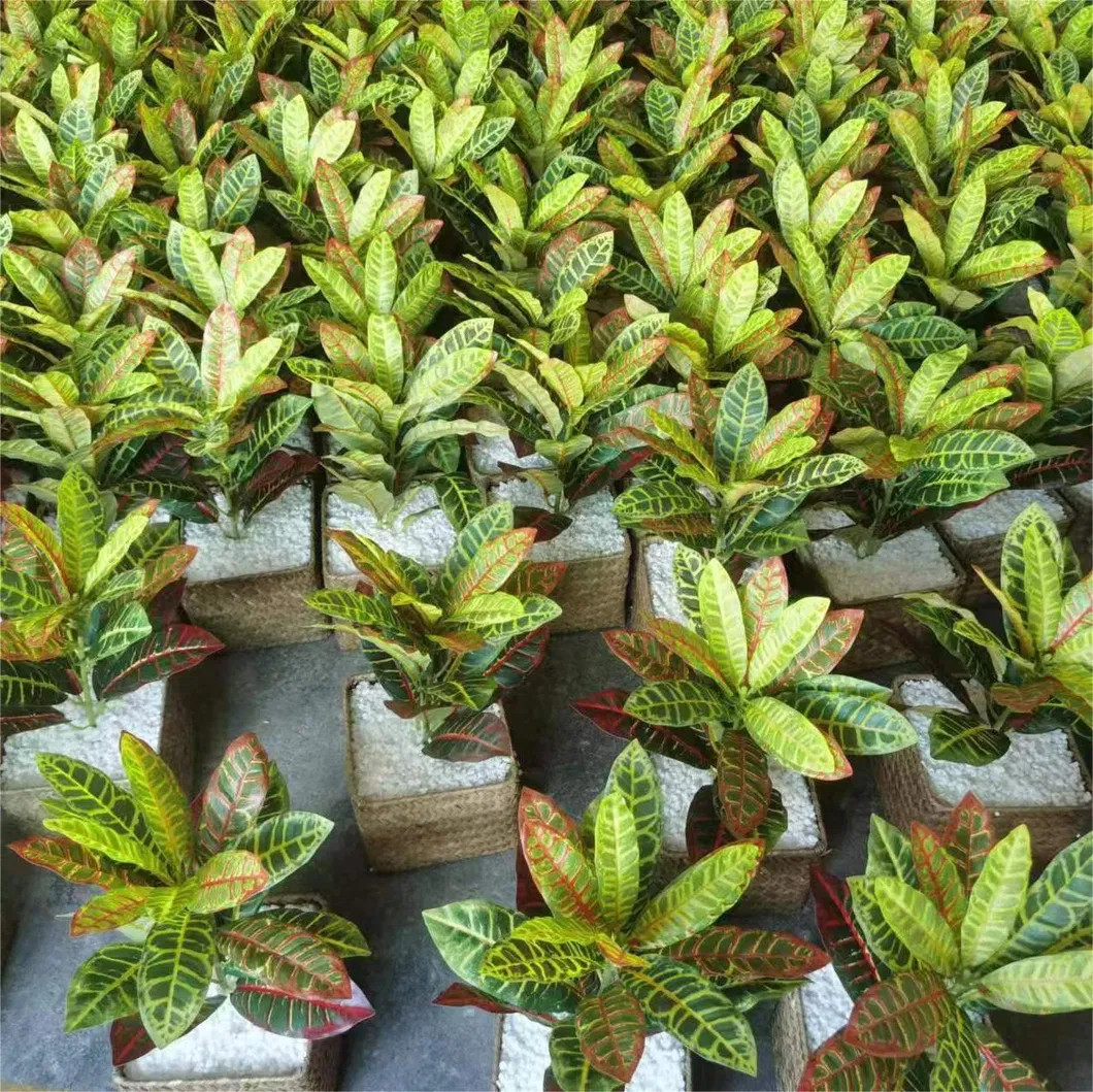 Artificial Plant Sample 1