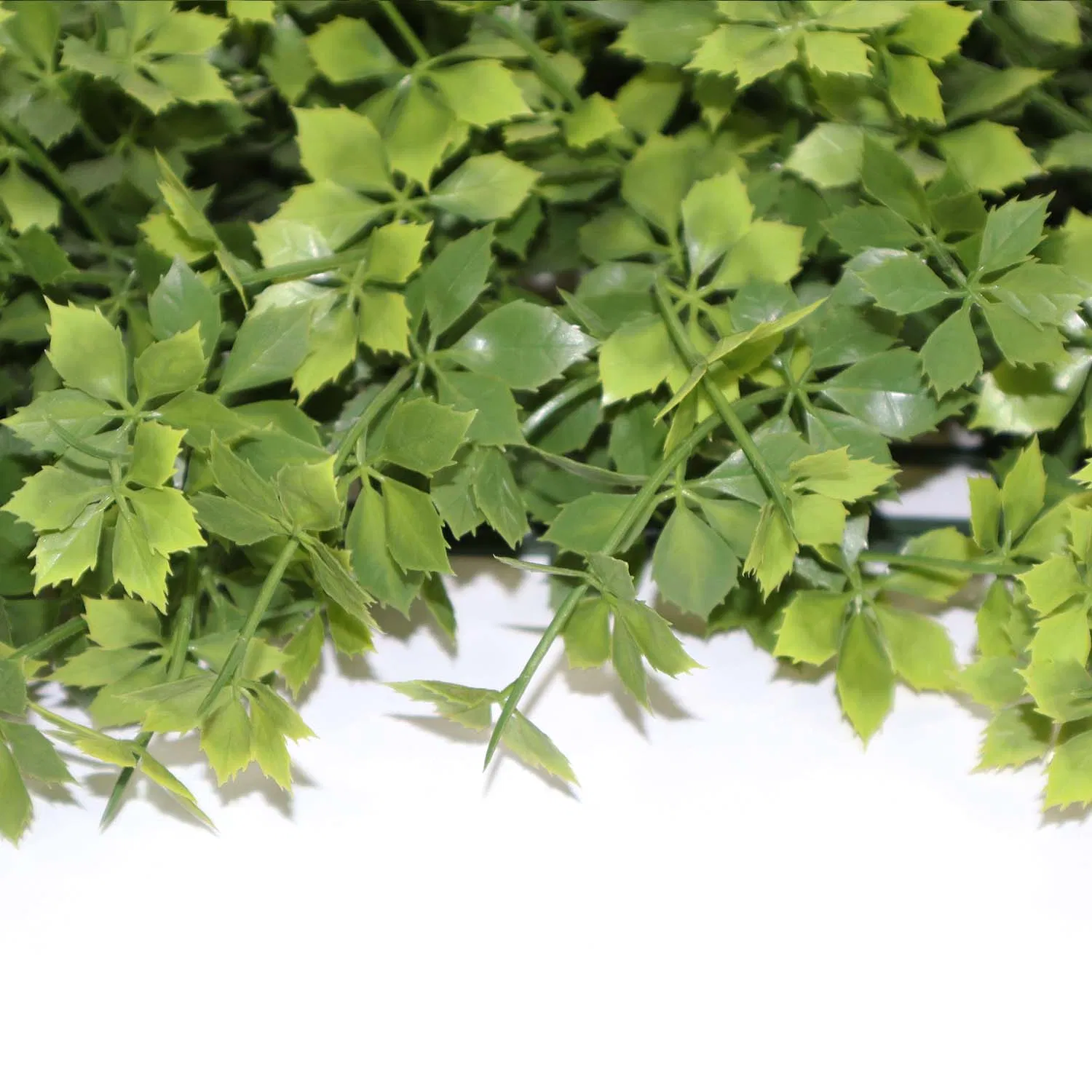 Artificial Grass Wall Boxwood Hedge Panels Plastic Creeper Leaves Artificial Green Wall Moss System for Decoration