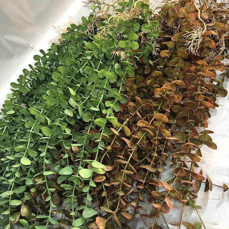 11-Branch Eucalyptus Artificial Hanging Plants for Wedding Aisle Wall Home Outside Decorations