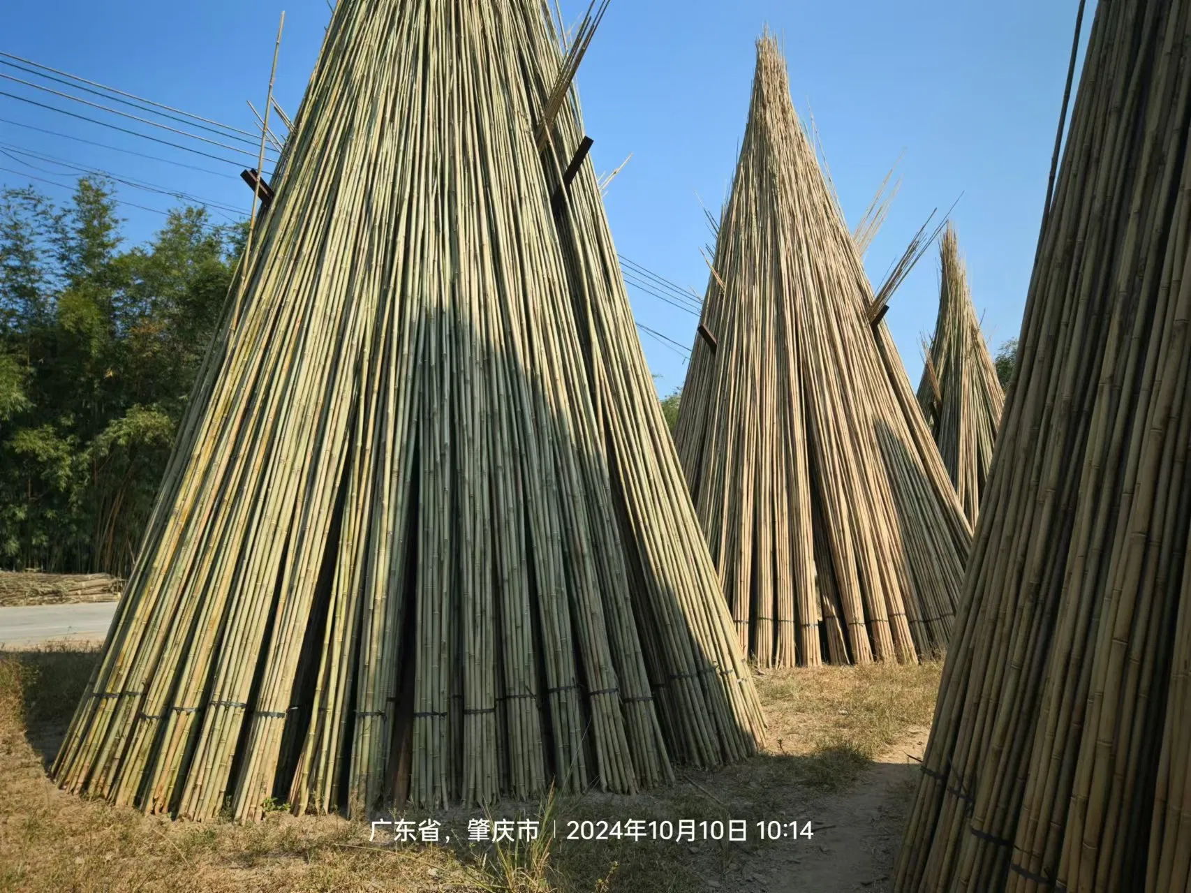 High Quality Outdoor Custom Size Natural Straight Bamboo Pole Artificial Bamboo Poles