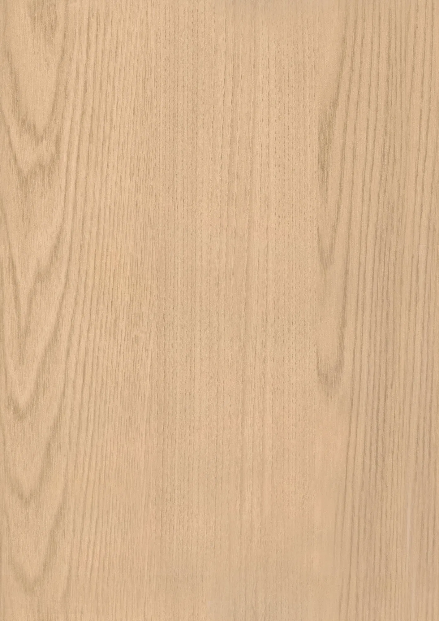 Vertical Garden Integrated Pollution Absorbing Bio Wall Panel