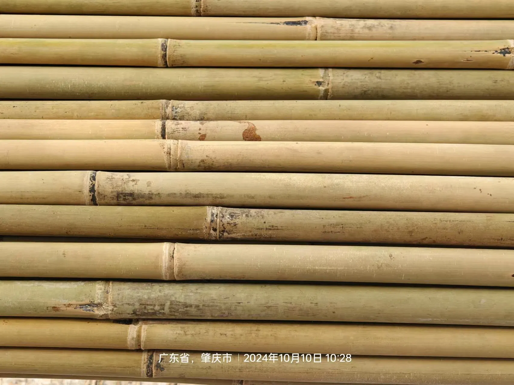 High Quality Outdoor Custom Size Natural Straight Bamboo Pole Artificial Bamboo Poles