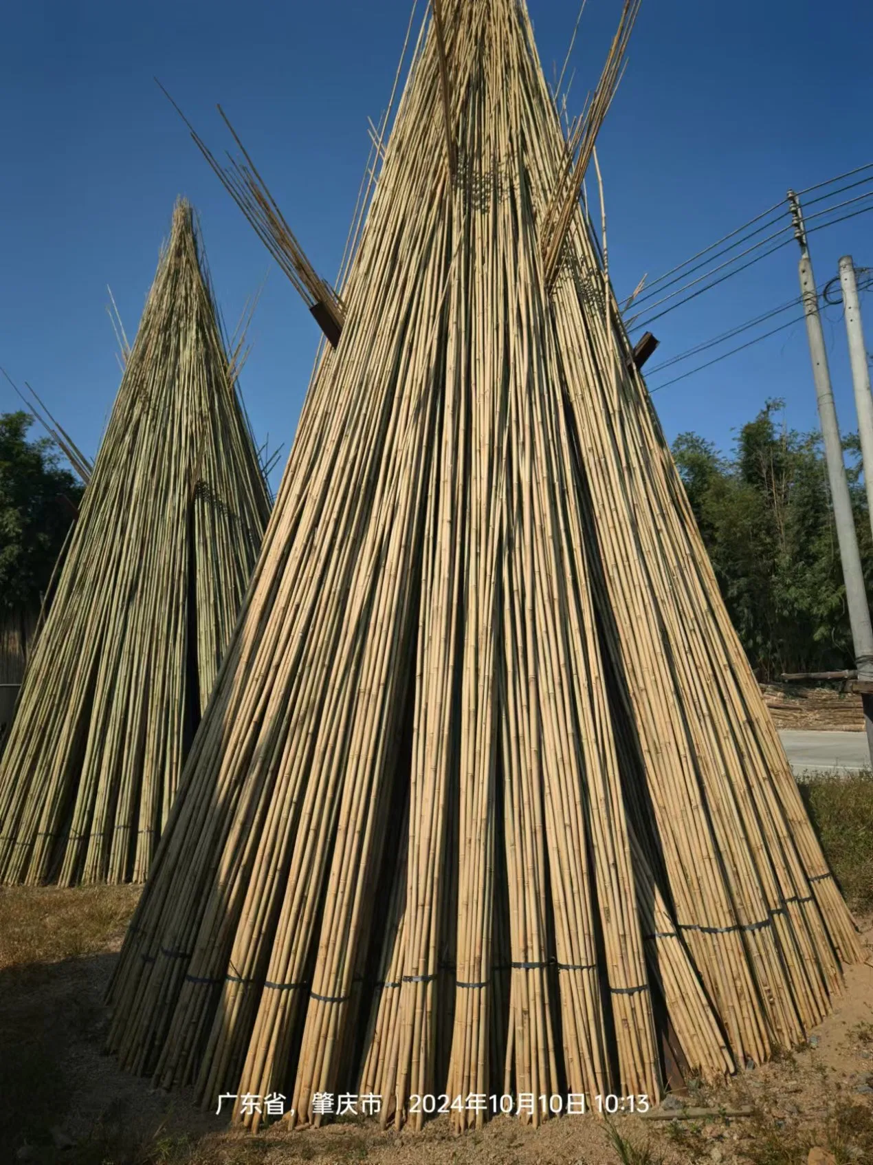 High Quality Outdoor Custom Size Natural Straight Bamboo Pole Artificial Bamboo Poles