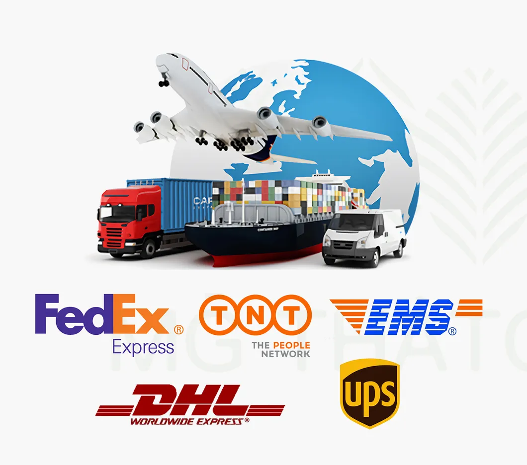 Shipping Logistics
