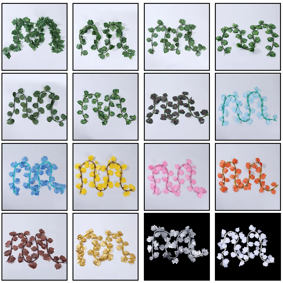 Leaf Plants Vine Foliage