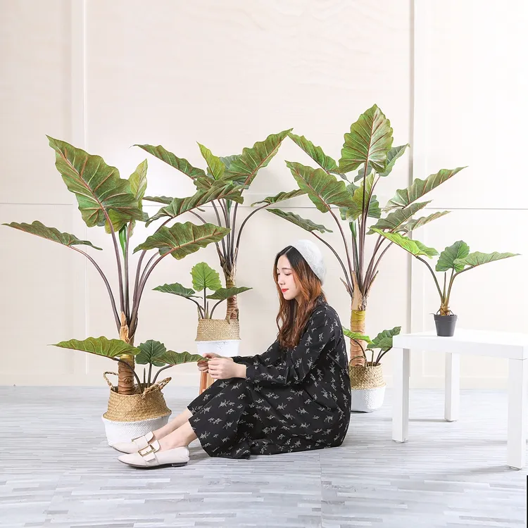 Large Handmade Bonsai