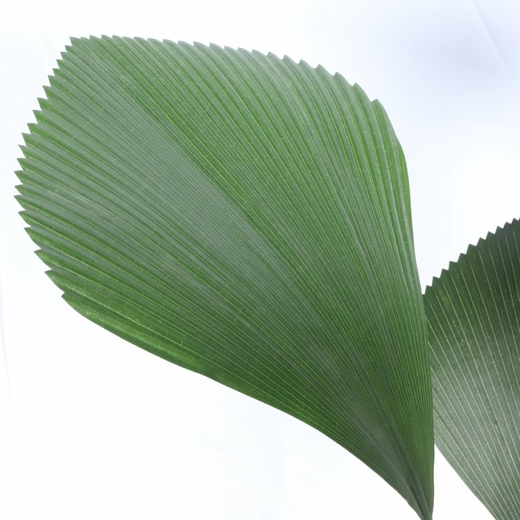 Home Decor Faux Green Tree Simulation Tropical Bonsai Artificial Fan Palm Tree