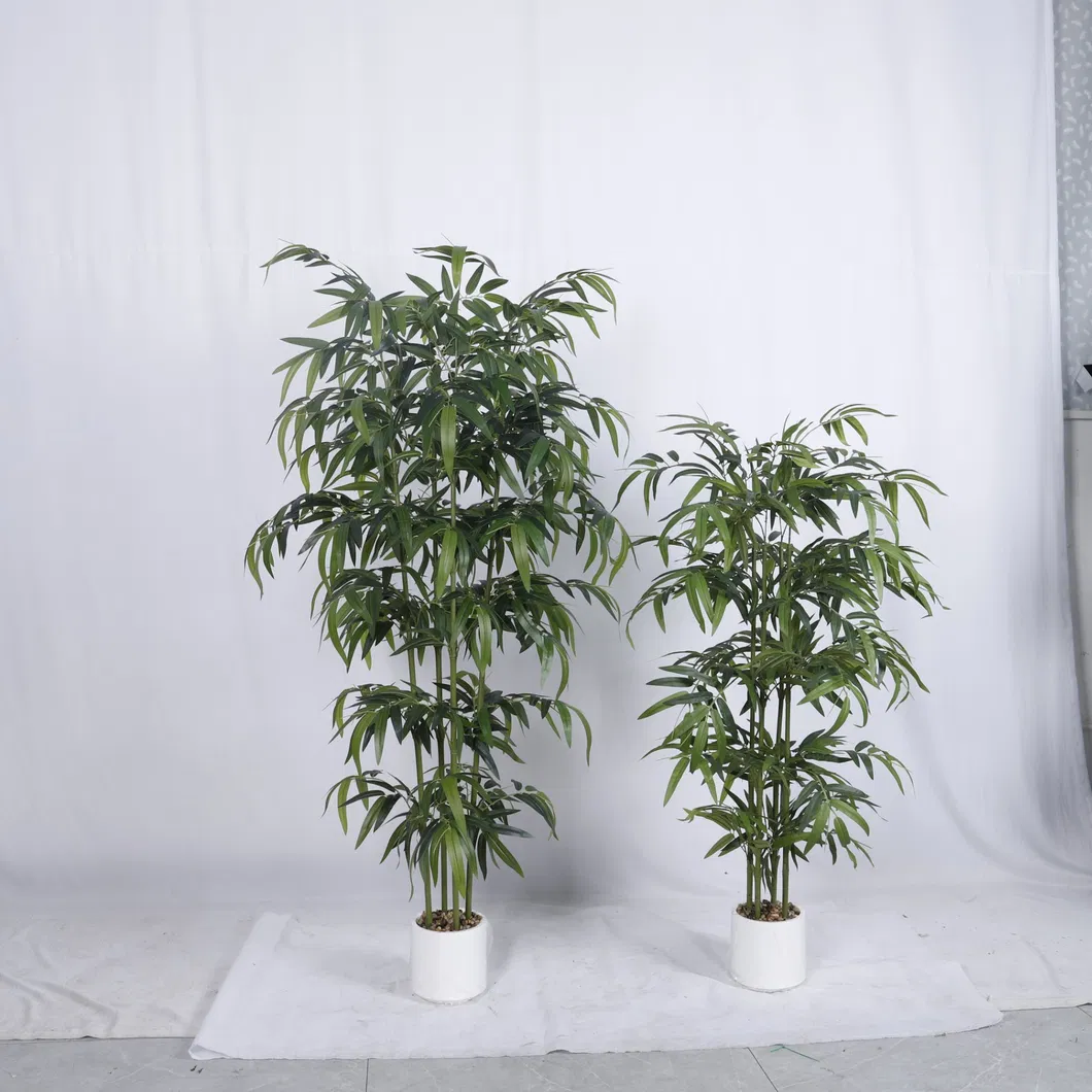 Bamboo Product View 2