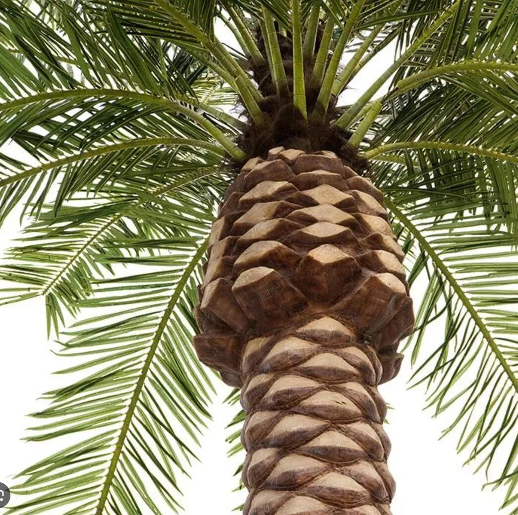 Nearly Natural Artificial / Fake / Faux Palm Trees for Outdoors UV Resistant