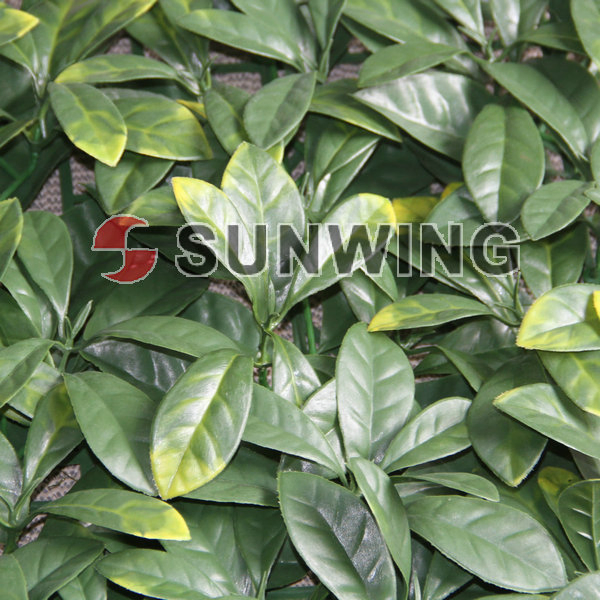 Sunwing High Quality Artificial Hedge Plastic Grass Artificial Hedge Mat