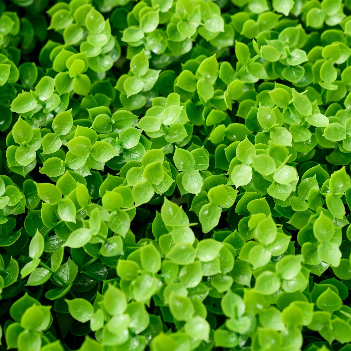 Factory Sales UV Protected Faux Plant Wall High Assurance PE Material Green Grass Panel for Outdoor