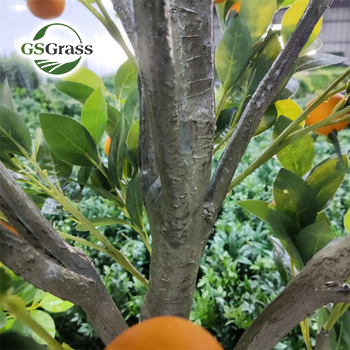1.6FT-5FT Fruit Plant Artificial Mandarin Orange Bonsai Tree
