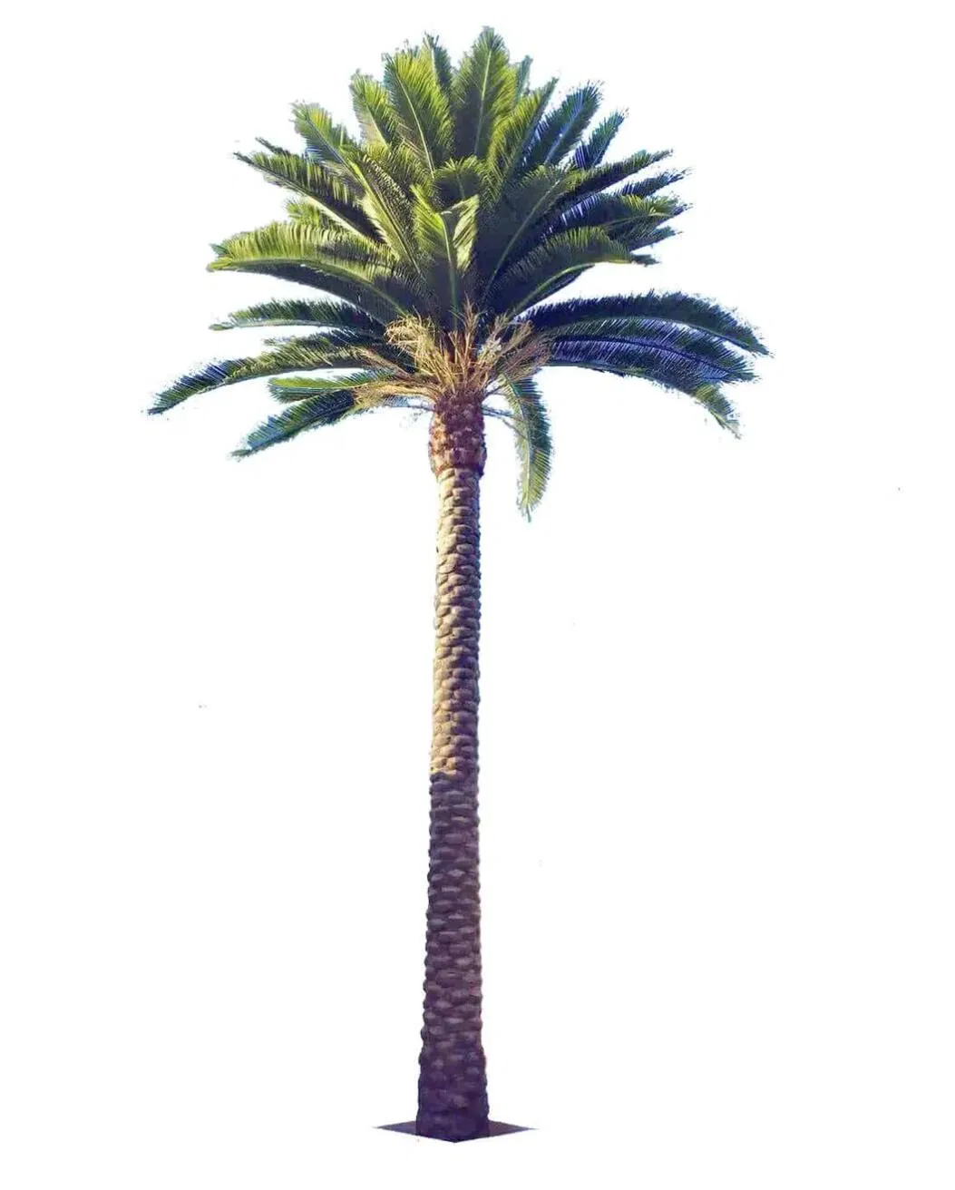 Nearly Natural Artificial / Fake / Faux Palm Trees for Outdoors UV Resistant