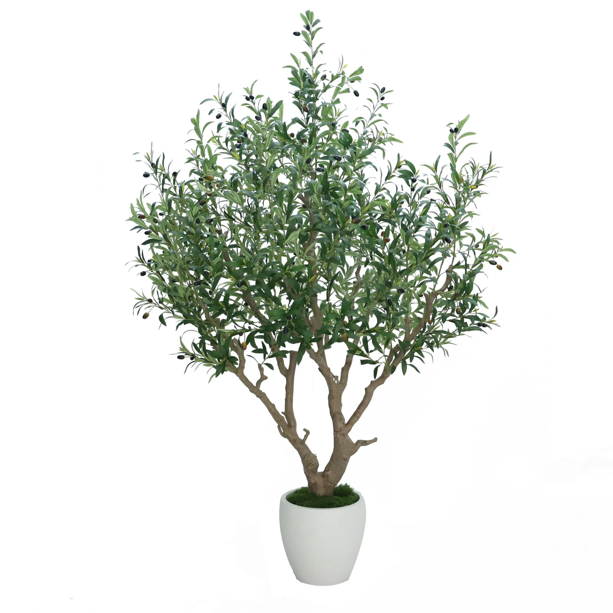 Indoor Outdoor Home Decor 210cm Artificial Olive Trees Bonsai