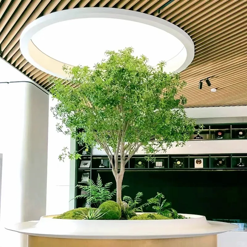 Artificial Podocarpus Bonsai Tree